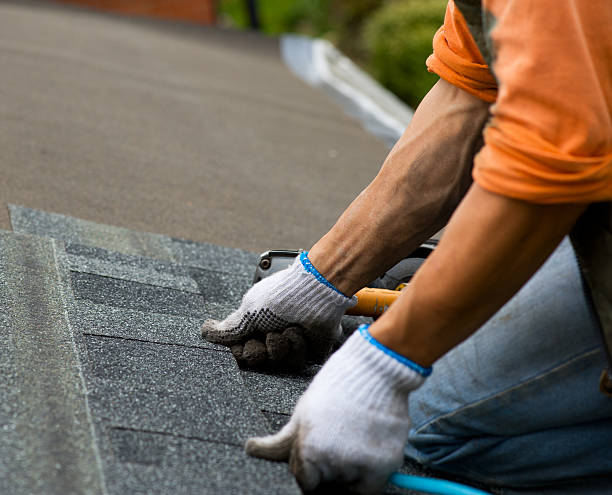 Quick and Trustworthy Emergency Roof Repair Services in Arkadelphia, AR